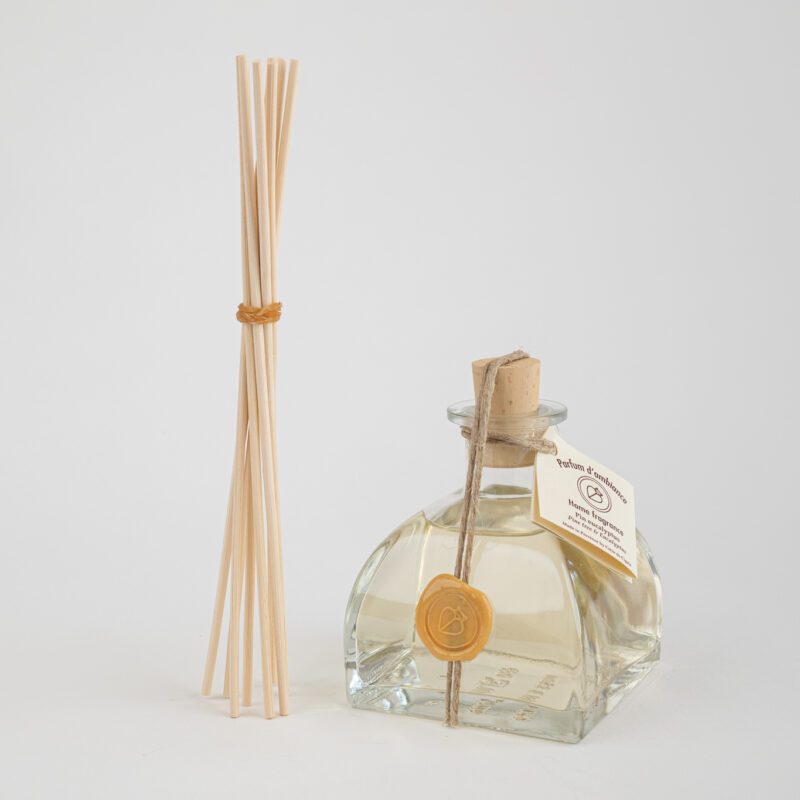 Parfum d'ambiance Pin eucalyptus